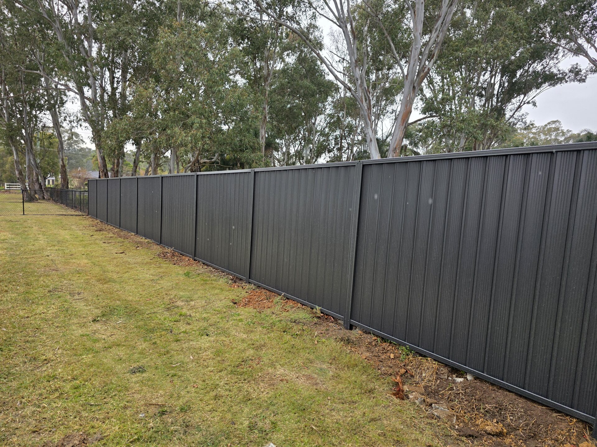 Completed charcoal Colorbond boundary fence installed by Moores Trades and Services