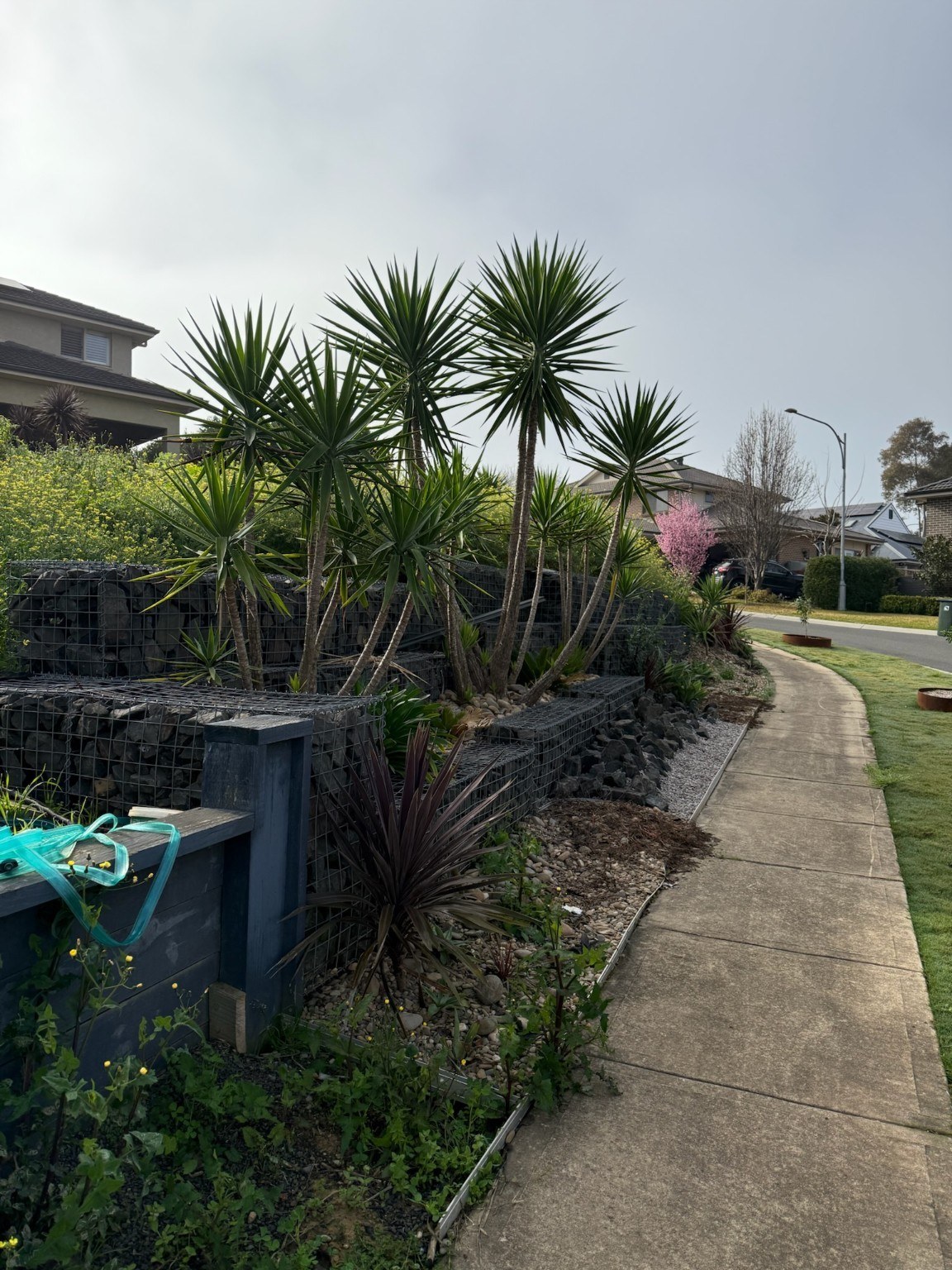 Original gabion and garden layout