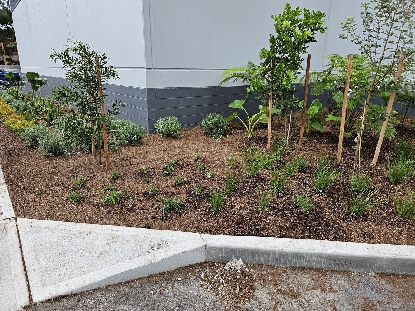 Warrawong Plaza Commercial Landscaping — completed view 2