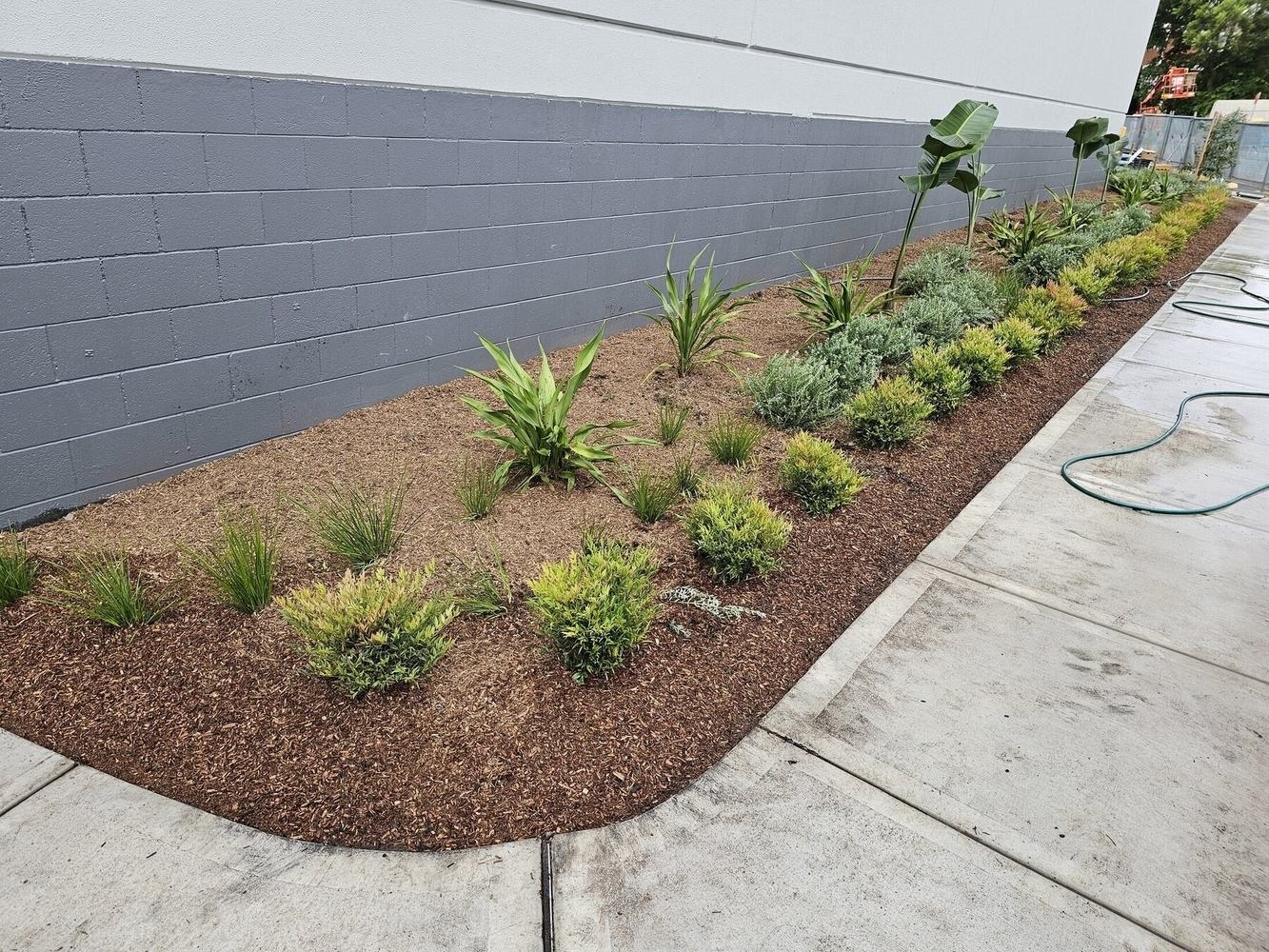 Warrawong Plaza Commercial Landscaping in Warrawong
