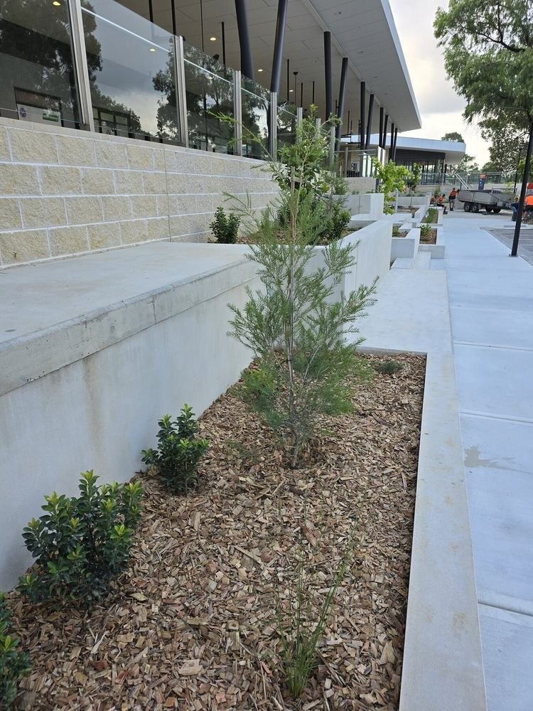 Glenmore Park Town Centre Landscaping in Glenmore Park