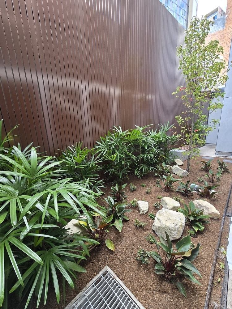Waterloo Apartments Courtyard Garden in Waterloo