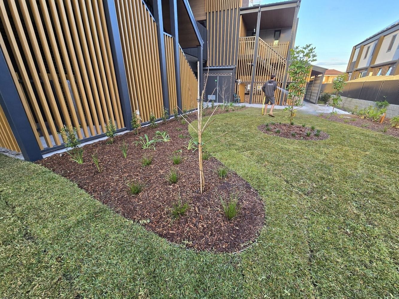 Cabramatta Apartments Landscaping — during view 2