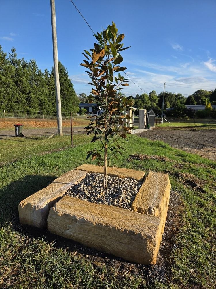 Completed sandstone landscape and magnolia planter