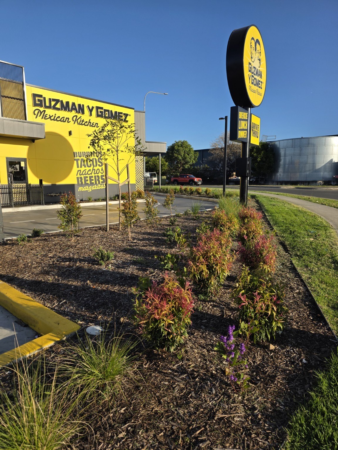 Completed Guzman y Gomez garden beds